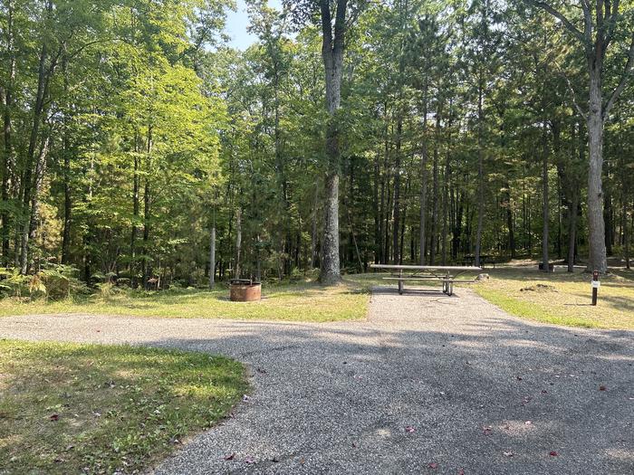 A photo of Site 14 of Loop Island Lake at Island lake (MI) with Picnic Table, Fire Pit