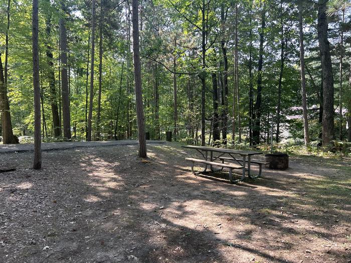 A photo of Site 7 of Loop Island Lake at Island lake (MI) with Picnic Table, Fire Pit, Lantern Pole