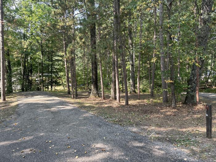 A photo of Site 7 of Loop Island Lake at Island lake (MI) with Picnic Table, Fire Pit, Lantern Pole