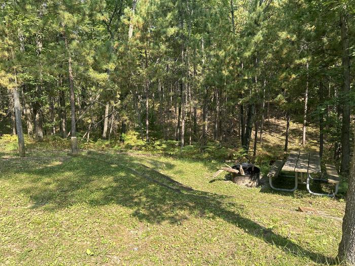 A photo of Site 12 of Loop Island Lake at Island lake (MI) with Picnic Table, Fire Pit