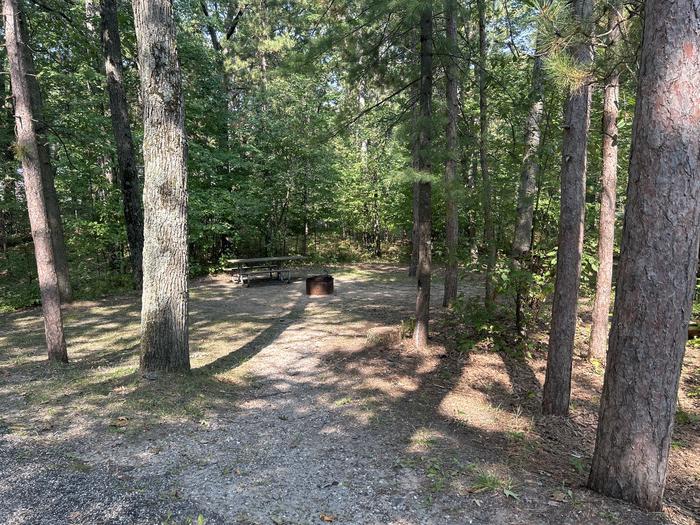 A photo of Site 8 of Loop Island Lake at Island lake (MI) with Picnic Table, Fire Pit