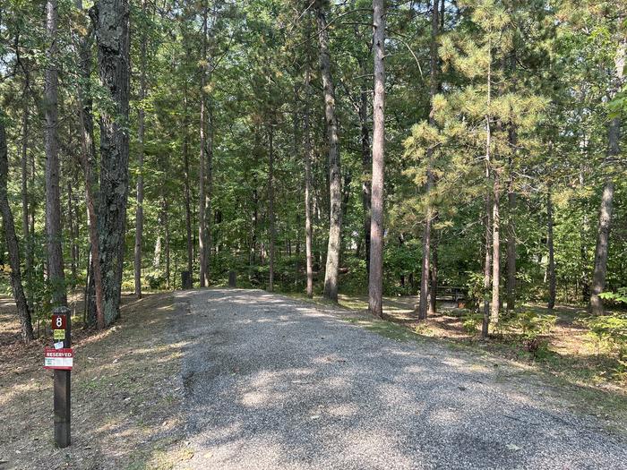 A photo of Site 8 of Loop Island Lake at Island lake (MI) with Picnic Table, Fire Pit