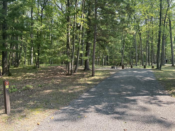 A photo of Site 3 of Loop Island Lake at Island lake (MI) with Picnic Table, Fire Pit, Lantern Pole