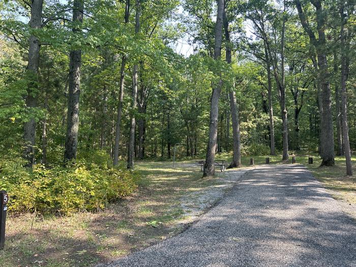 A photo of Site 5 of Loop Island Lake at Island lake (MI) with Picnic Table, Fire Pit, Lantern Pole