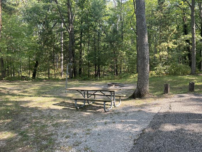 A photo of Site 5 of Loop Island Lake at Island lake (MI) with Picnic Table, Fire Pit, Lantern Pole