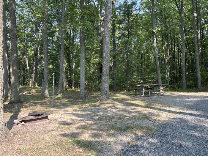 A photo of Site 1 of Loop Island Lake at Island lake (MI) with Picnic Table, Fire Pit, Lantern Pole