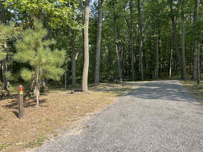 A photo of Site 1 of Loop Island Lake at Island lake (MI) with Picnic Table, Fire Pit, Lantern Pole