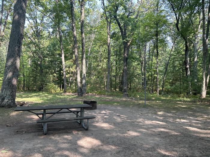 A photo of Site 4 of Loop Island Lake at Island lake (MI) with Picnic Table, Fire Pit, Lantern Pole