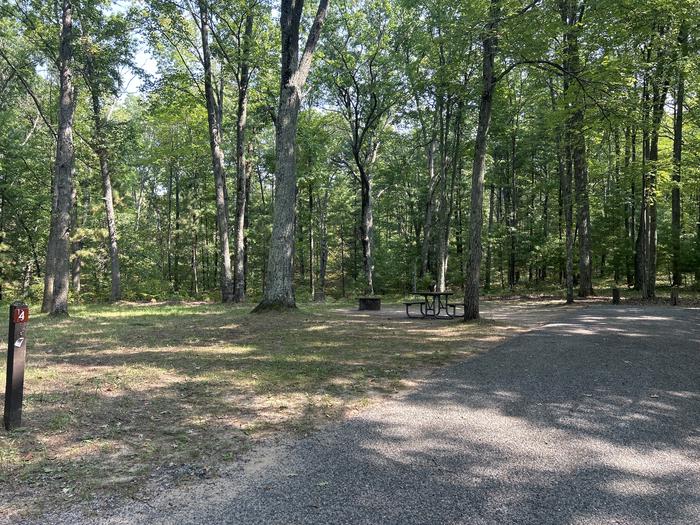 A photo of Site 4 of Loop Island Lake at Island lake (MI) with Picnic Table, Fire Pit, Lantern Pole