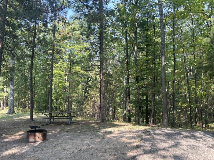 A photo of Site 16 of Loop Island Lake at Island lake (MI) with Picnic Table, Fire Pit