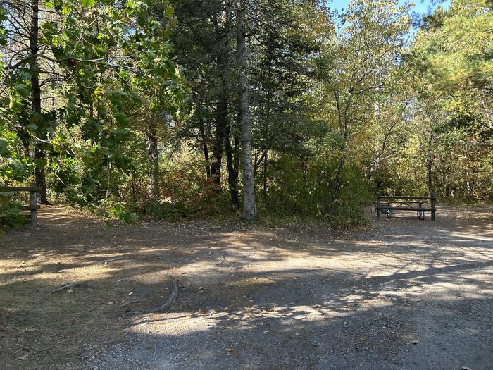 A photo of Site 1 of Loop Au Sable Loop at Au Sable Loop Campground with No Amenities Shown