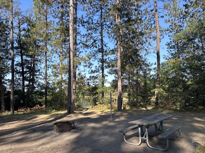 Campfire ring, picnic table, and lantern post in campsite 31