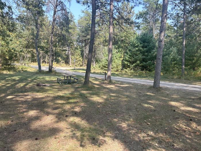 Campfire ring and picnic table in campsite 1