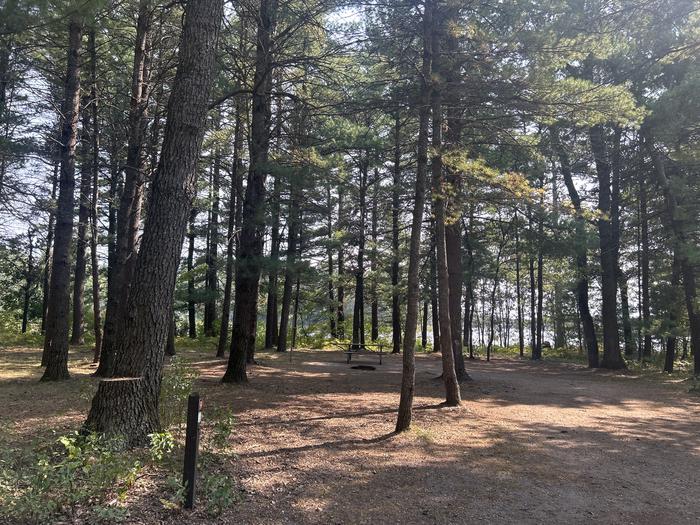 A photo of Site 9 of Loop Warbler at Mack Lake ORV Campground with Picnic Table, Fire Pit, Waterfront