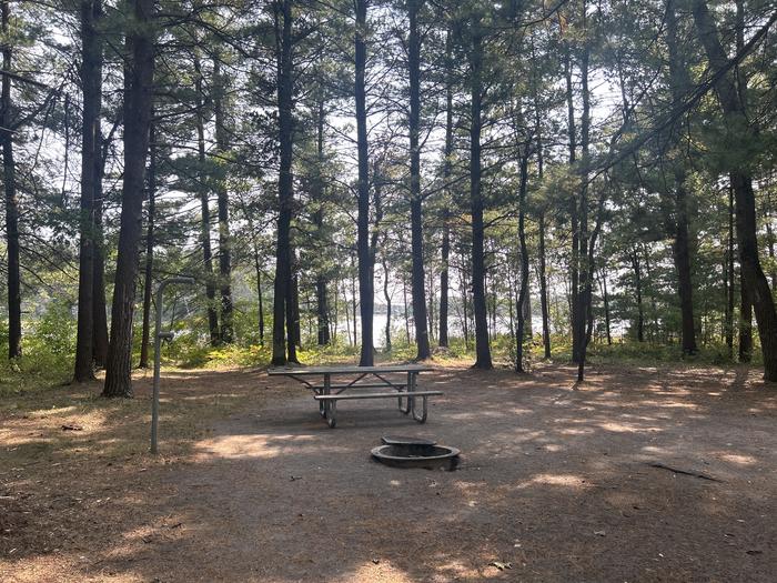 A photo of Site 9 of Loop Warbler at Mack Lake ORV Campground with Picnic Table, Fire Pit, Waterfront, Lantern Pole