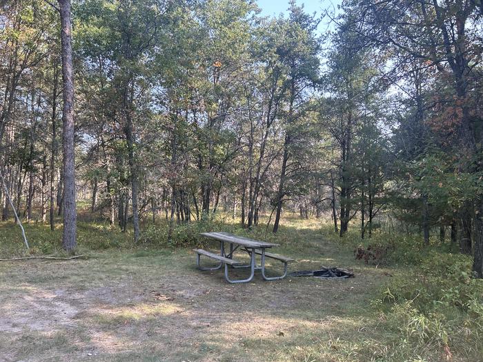 Campfire ring and picnic table at campsite 24