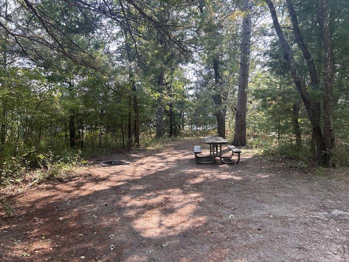 Campfire ring and picnic table at campsite 6