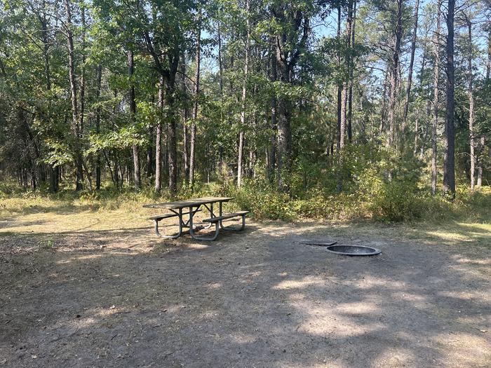 Campfire ring and picnic table at campsite 16