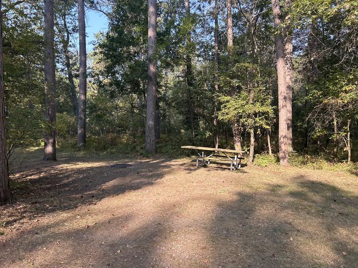 Campfire ring and picnic table in campsite 37