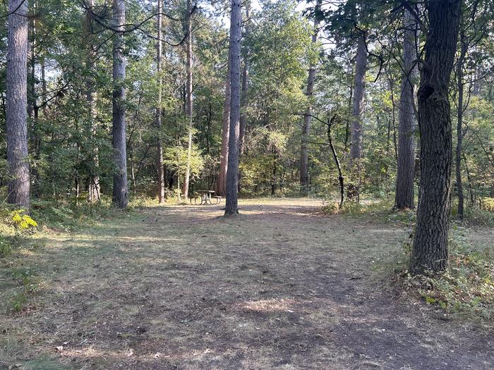 A photo of Site 37 of Loop Beaver at Mack Lake ORV Campground with Picnic Table, Fire Pit