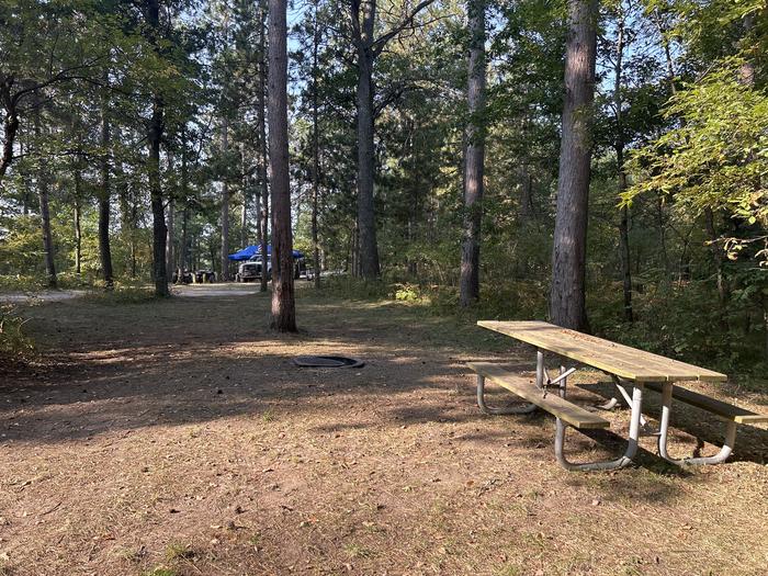 A photo of Site 37 of Loop Beaver at Mack Lake ORV Campground with Picnic Table, Fire Pit