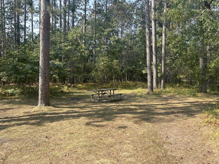 Campfire ring and picnic table at campsite 3