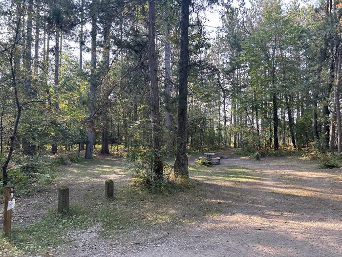 A photo of Site 36 of Loop Beaver at Mack Lake ORV Campground with Picnic Table, Fire Pit