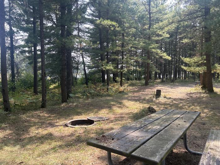 A photo of Site 13 of Loop Warbler at Mack Lake ORV Campground with Picnic Table, Fire Pit