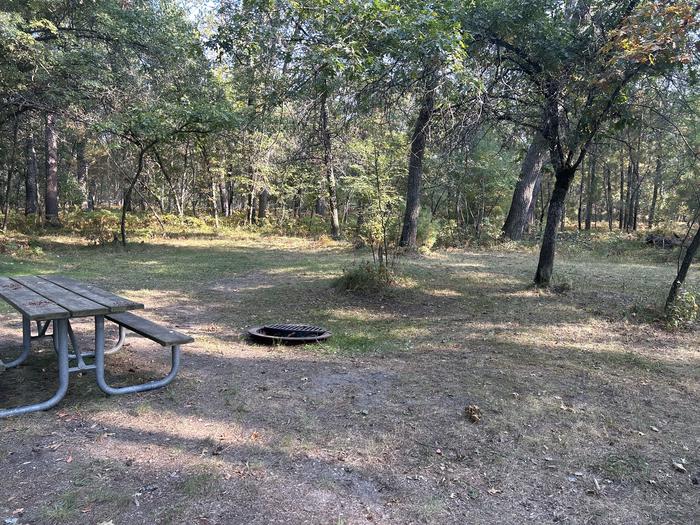 A photo of Site 39 of Loop Beaver at Mack Lake ORV Campground with Picnic Table, Fire Pit