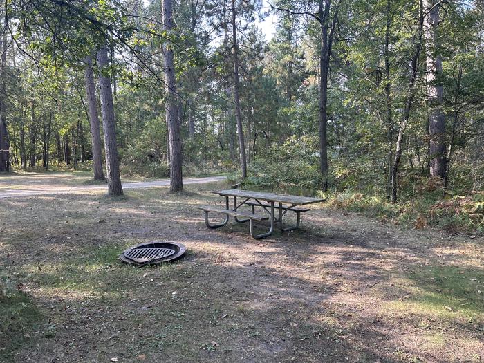 Campfire ring at campsite 39