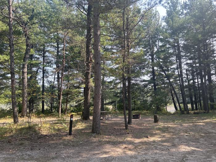 A photo of Site 11 of Loop Warbler at Mack Lake ORV Campground with Picnic Table, Fire Pit, Waterfront, Lantern Pole