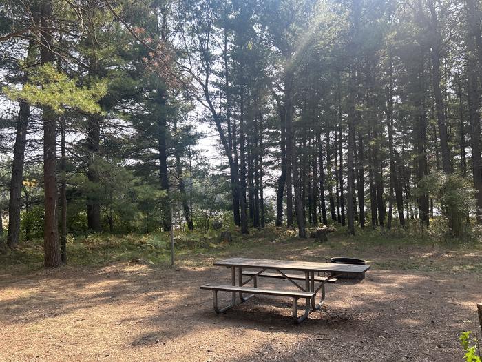 A photo of Site 11 of Loop Warbler at Mack Lake ORV Campground with Picnic Table, Fire Pit, Waterfront, Lantern Pole