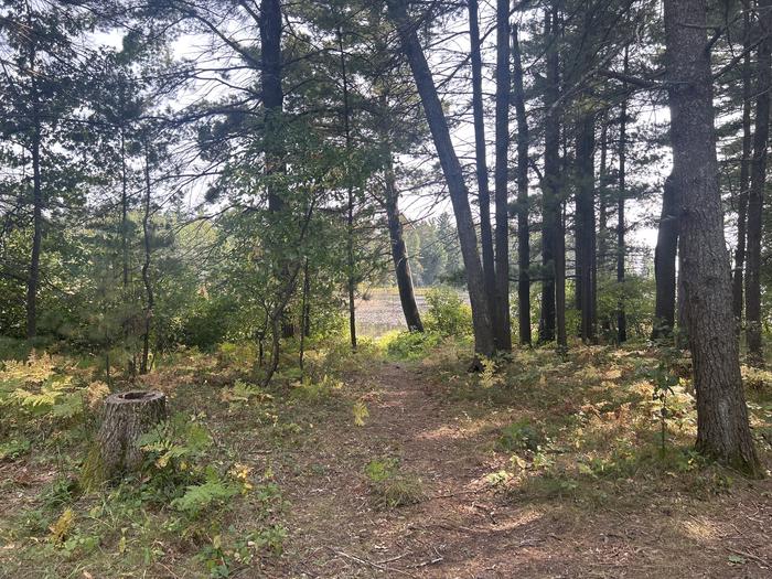 A photo of Site 11 of Loop Warbler at Mack Lake ORV Campground with Waterfront