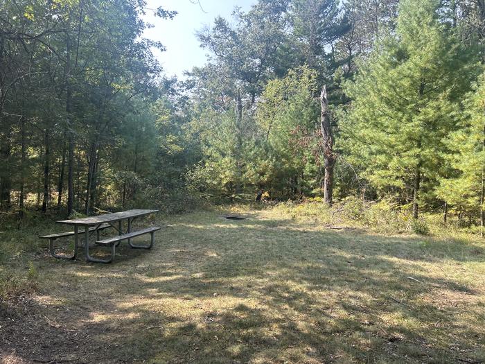 A photo of Site 8 of Loop Warbler at Mack Lake ORV Campground with Picnic Table, Fire Pit