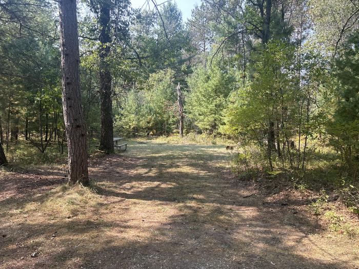 A photo of Site 8 of Loop Warbler at Mack Lake ORV Campground with Picnic Table, Fire Pit