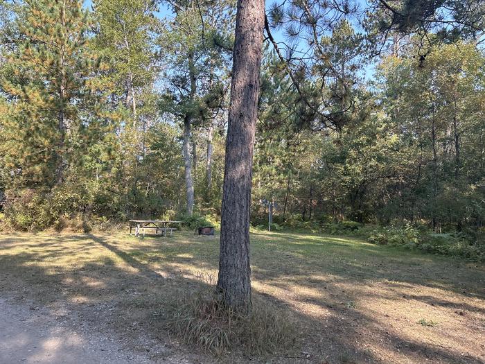 A photo of Site 34 of Loop Beaver at Mack Lake ORV Campground with Picnic Table, Fire Pit, Lantern Pole