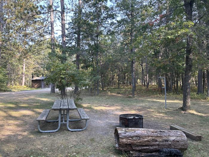 Campfire ring, picnic table, and lantern post at campsite 42