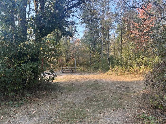 A photo of Site 2 of Loop Gabions at Gabions Campground with Picnic Table, Lantern Pole