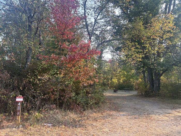 A photo of Site 4 of Loop Gabions at Gabions Campground with Picnic Table, Fire Pit, Lantern Pole