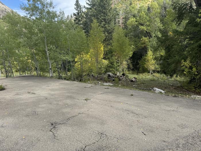 A photo of Site 003 of Loop TINNEY FLAT  at TINNEY FLAT with Tent Pad