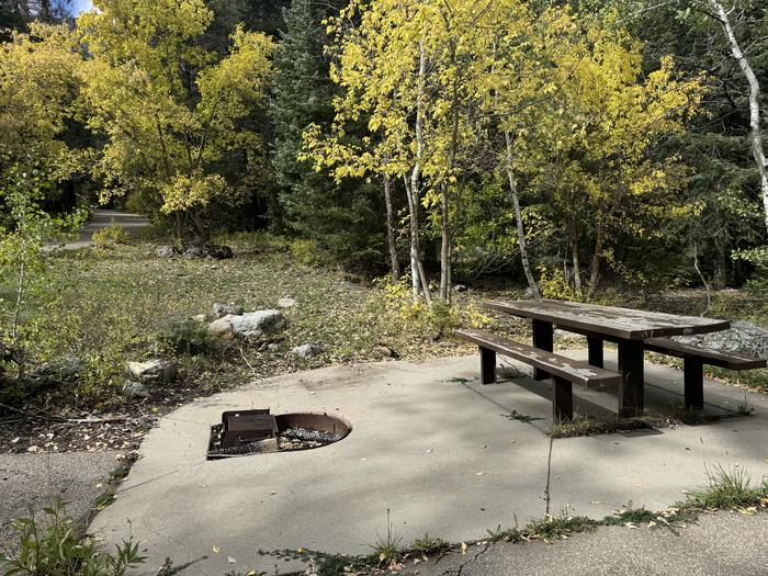 A photo of Site 003 of Loop TINNEY FLAT  at TINNEY FLAT with Picnic Table, Fire Pit