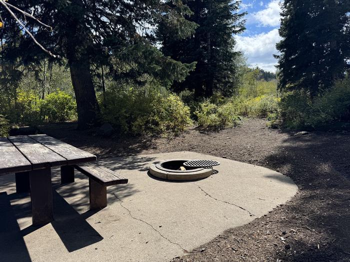 A photo of Site C29 of Loop C at PAYSON LAKES with Picnic Table, Fire Pit, Tent Pad