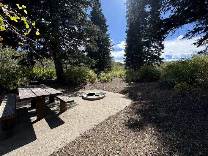 A photo of Site C29 of Loop C at PAYSON LAKES with Picnic Table, Fire Pit, Tent Pad