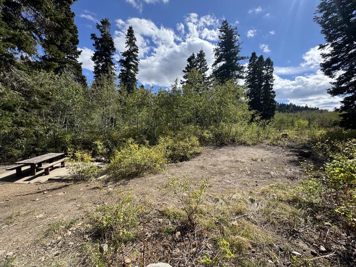 A photo of Site C30 of Loop C at PAYSON LAKES with Picnic Table, Fire Pit, Tent Pad