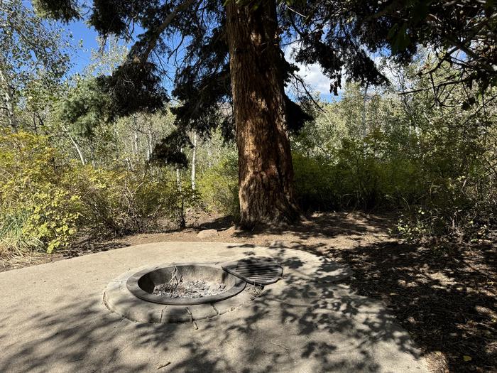 A photo of Site C24 of Loop C at PAYSON LAKES with Fire Pit, Tent Pad