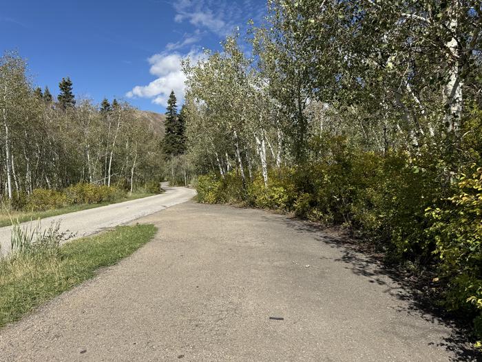 A photo of Site C24 of Loop C at PAYSON LAKES with No Amenities Shown