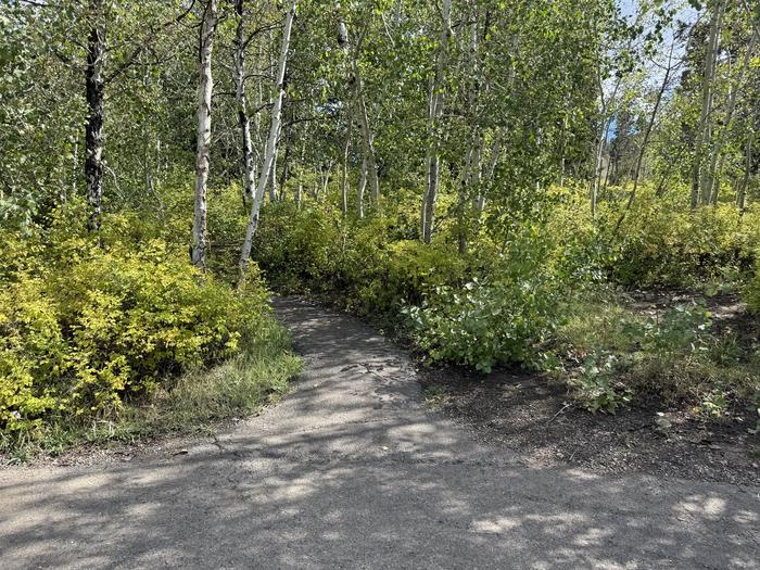 A photo of Site C24 of Loop C at PAYSON LAKES with No Amenities Shown