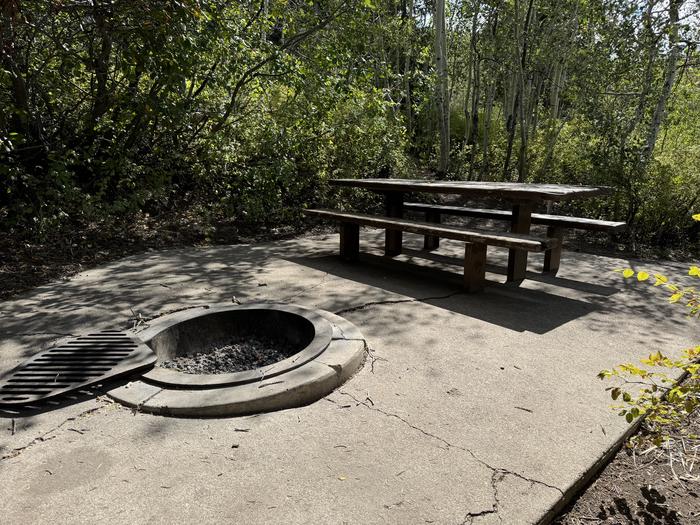 A photo of Site C24 of Loop C at PAYSON LAKES with Picnic Table, Fire Pit