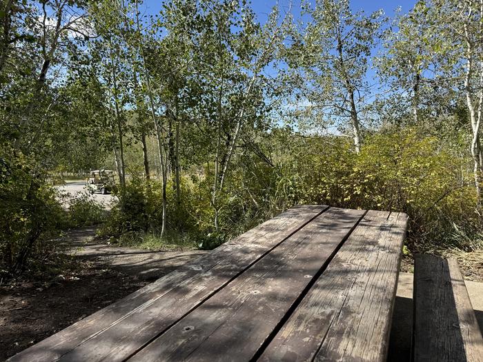 A photo of Site C24 of Loop C at PAYSON LAKES with Picnic Table