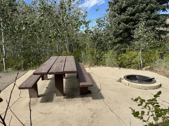 A photo of Site C08 of Loop C at PAYSON LAKES with Picnic Table, Fire Pit